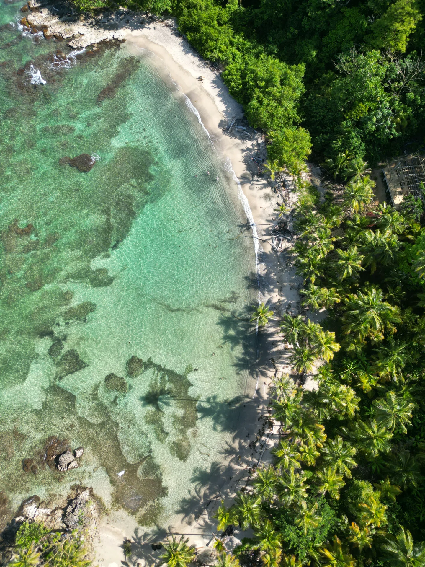 La Ruta Escondida — Cabo Tiburón + Sapzurro + La Miel (Panamá)