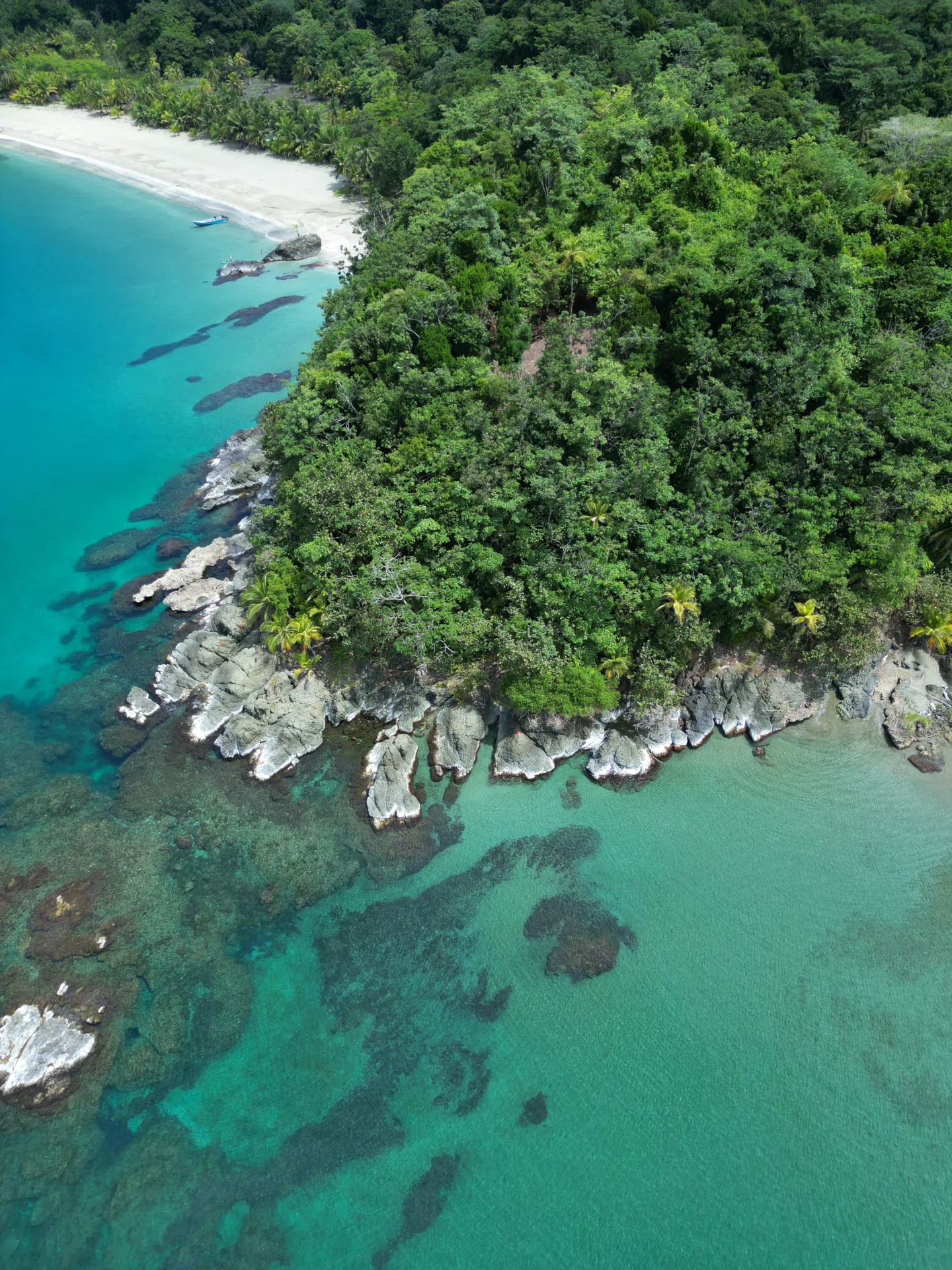 Naturaleza del Caribe escondido