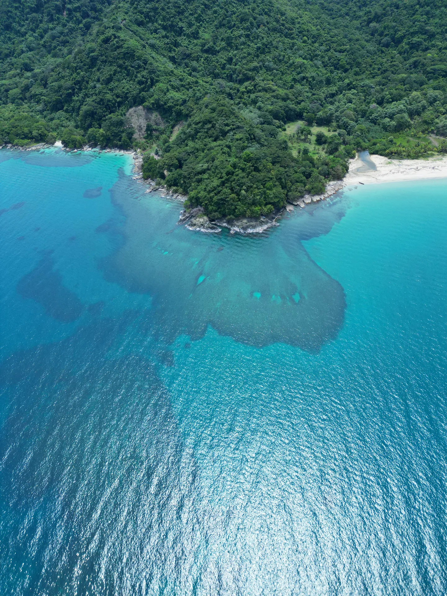 Naturaleza del Caribe escondido