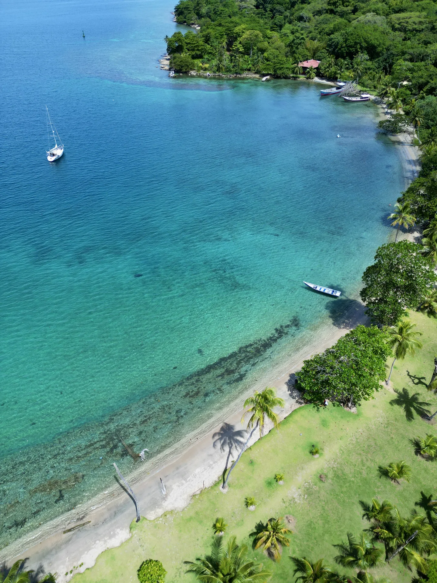 Naturaleza del Caribe escondido