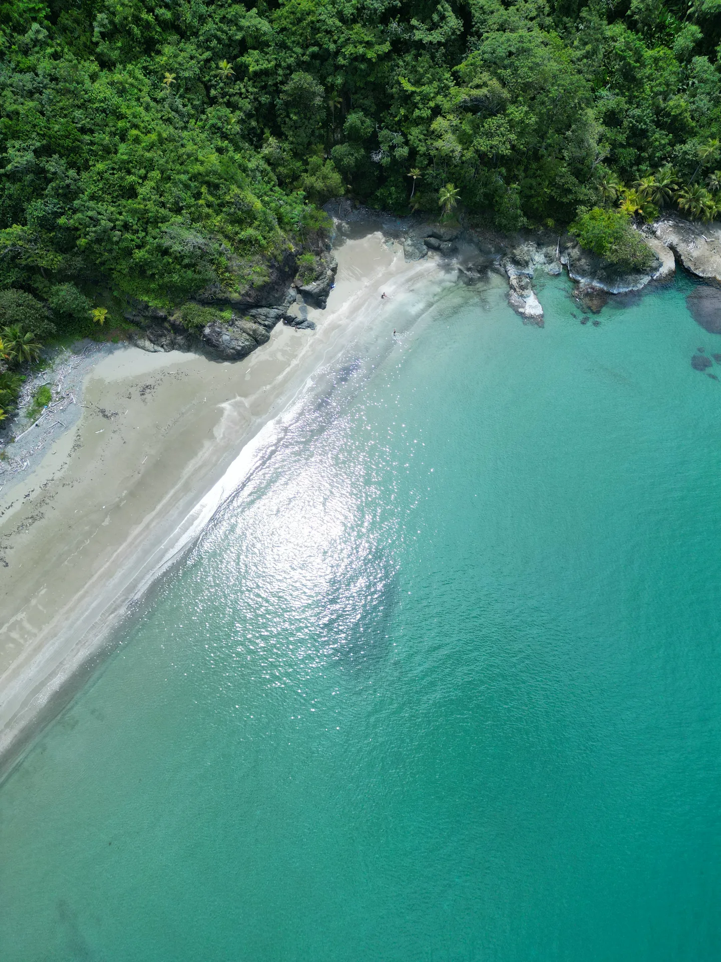 Naturaleza del Caribe escondido