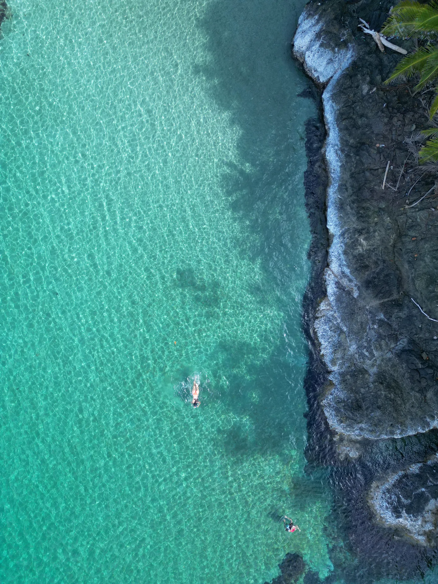 Naturaleza del Caribe escondido