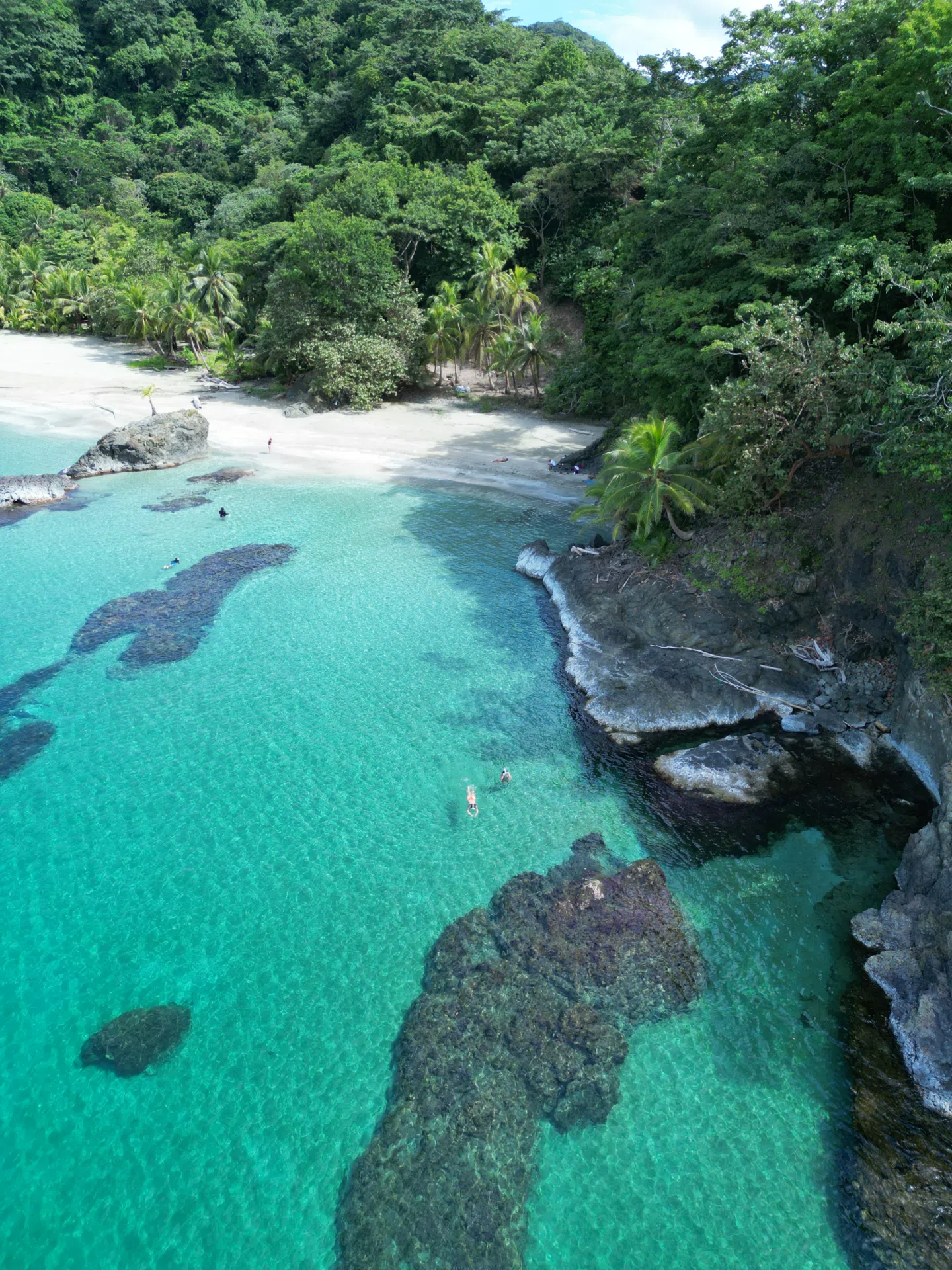 Naturaleza del Caribe escondido