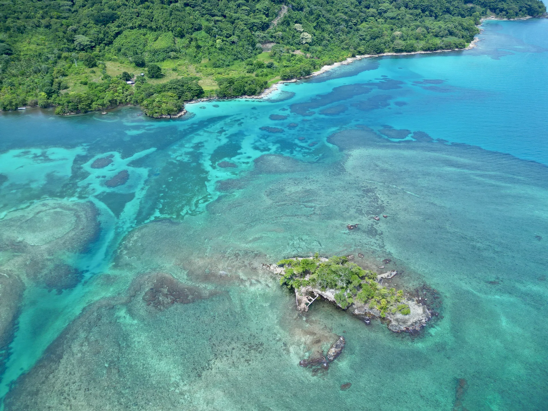 Naturaleza del Caribe escondido