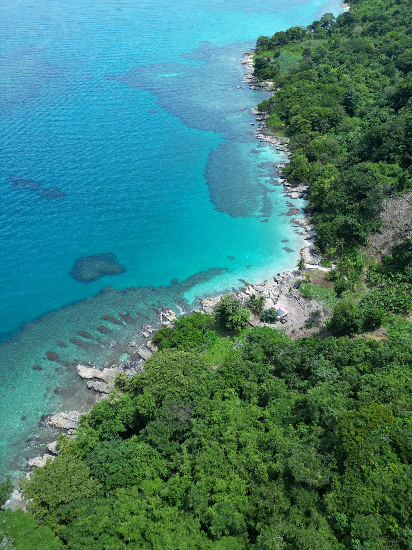 Naturaleza del Caribe escondido