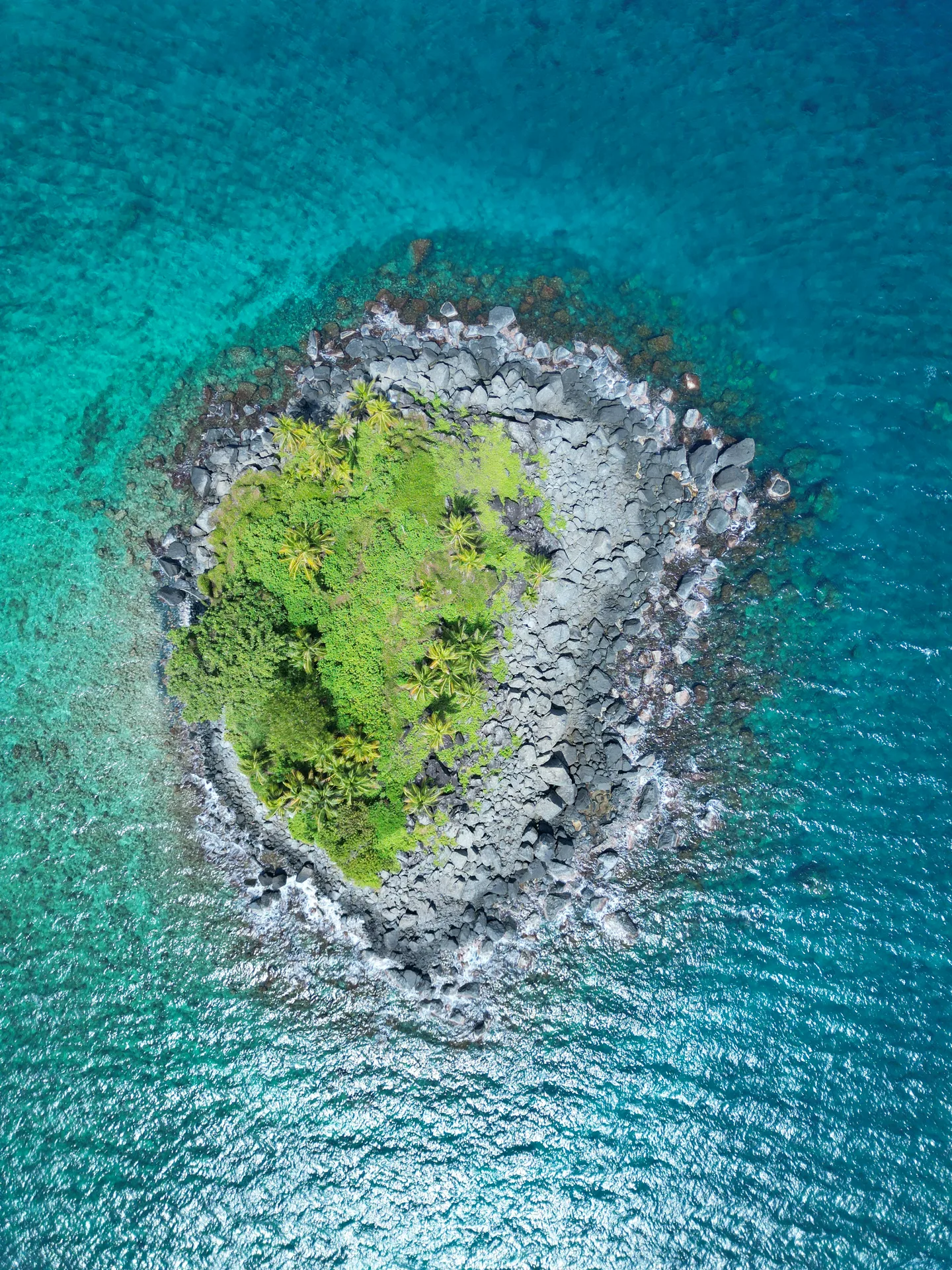 Naturaleza del Caribe escondido
