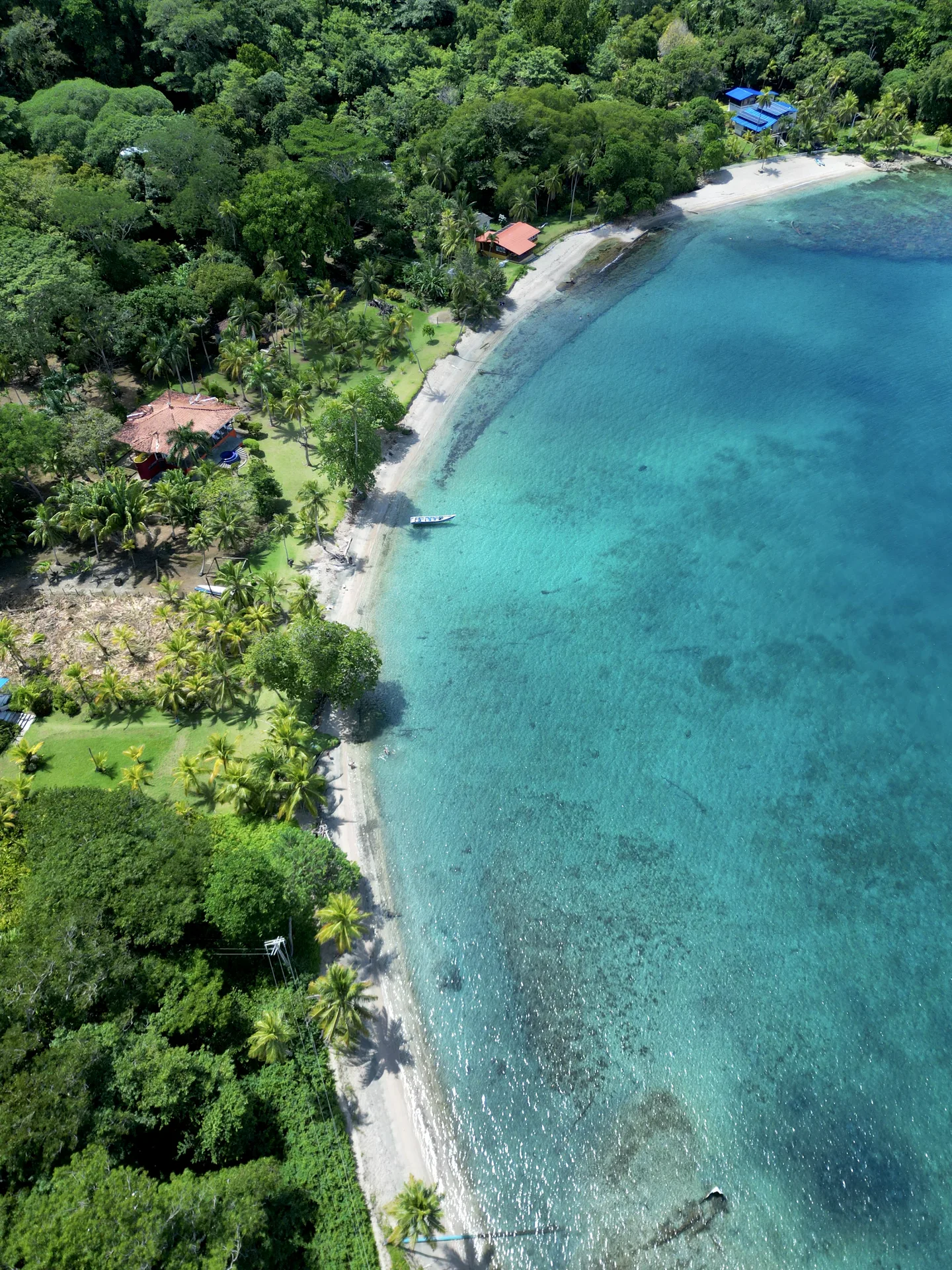Naturaleza del Caribe escondido