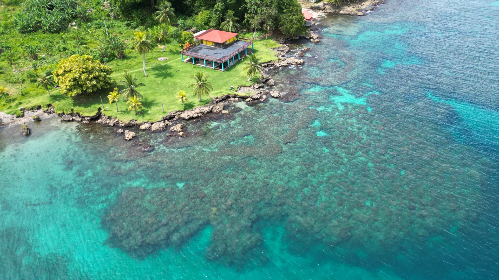 Naturaleza del Caribe escondido