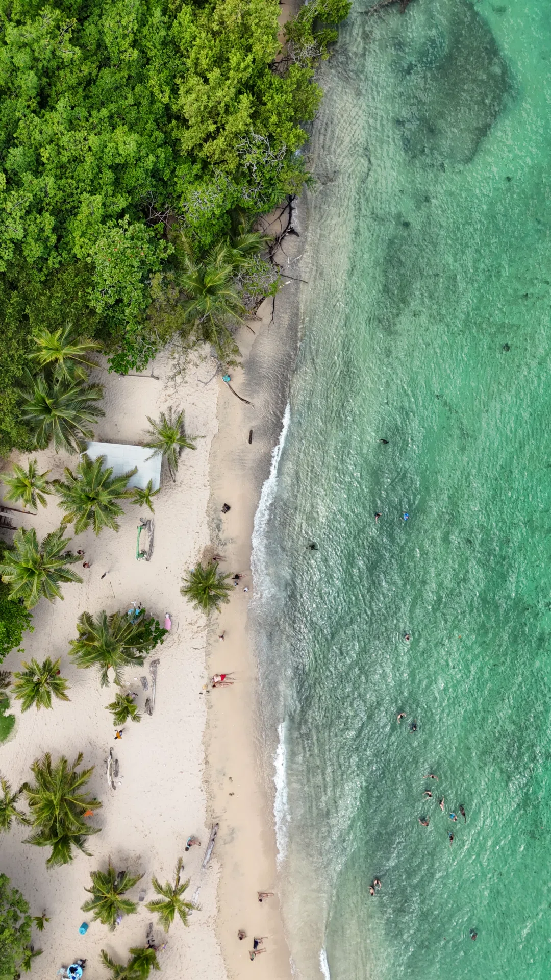 Naturaleza del Caribe escondido