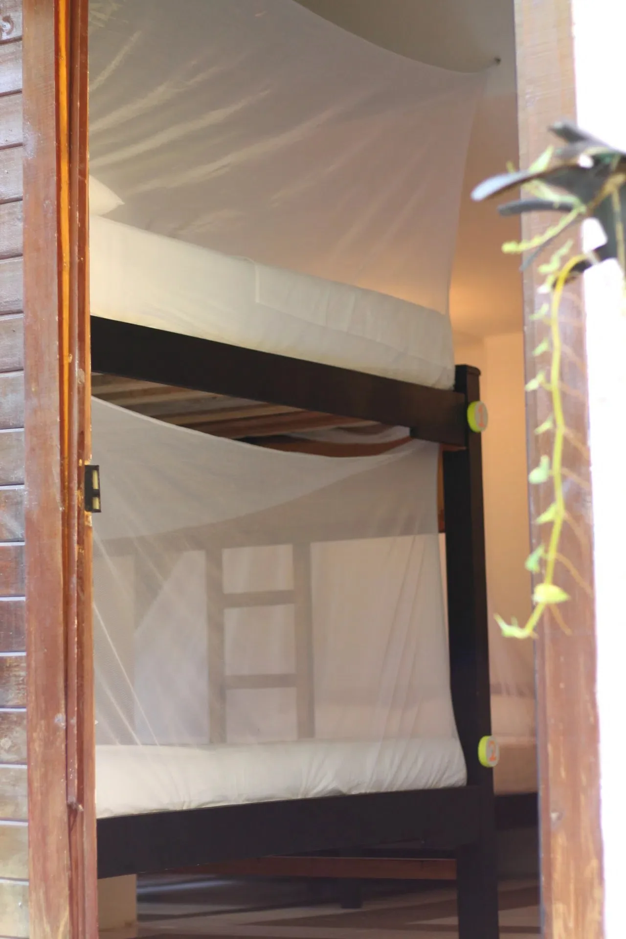 Cama doble en dorm — foto 5