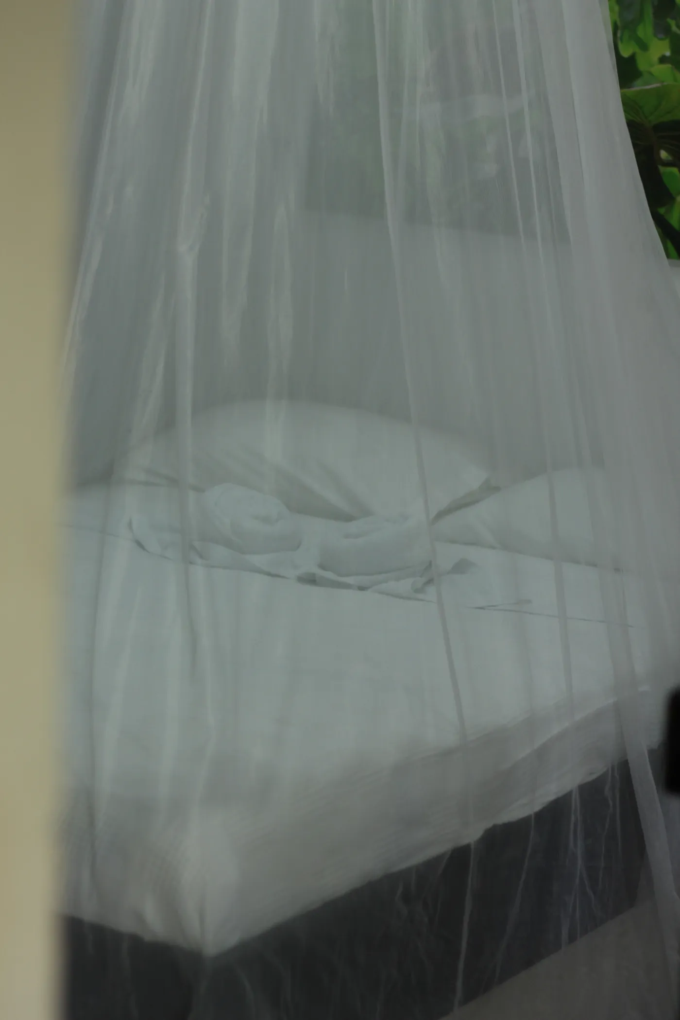 Cuádruple — foto 6