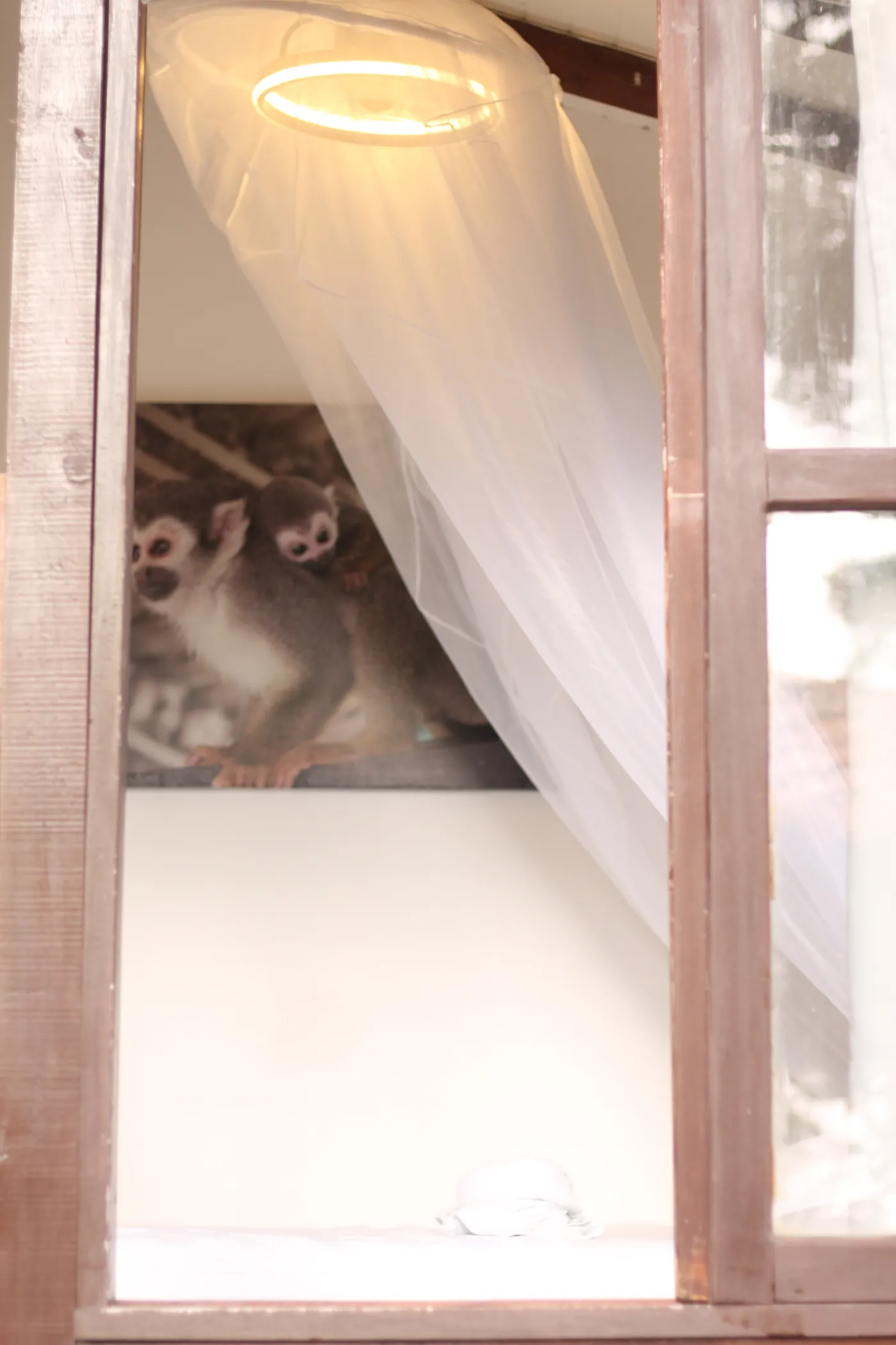 Doble Privada — foto 44