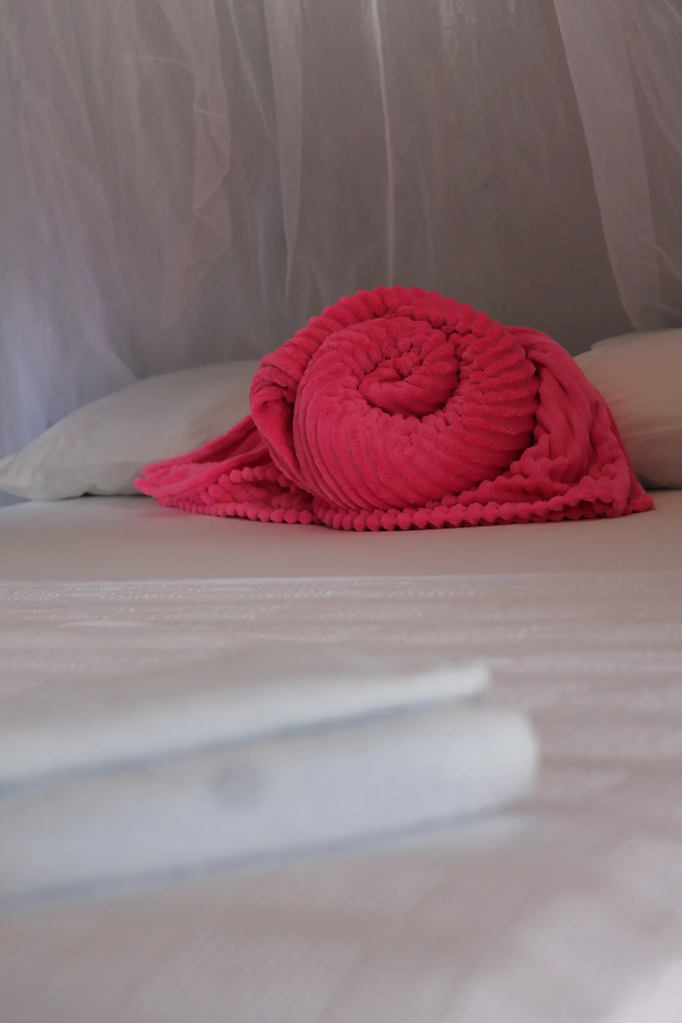 Suite Brisa — foto 20