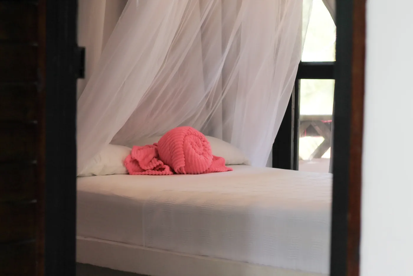 Suite Junior — foto 7
