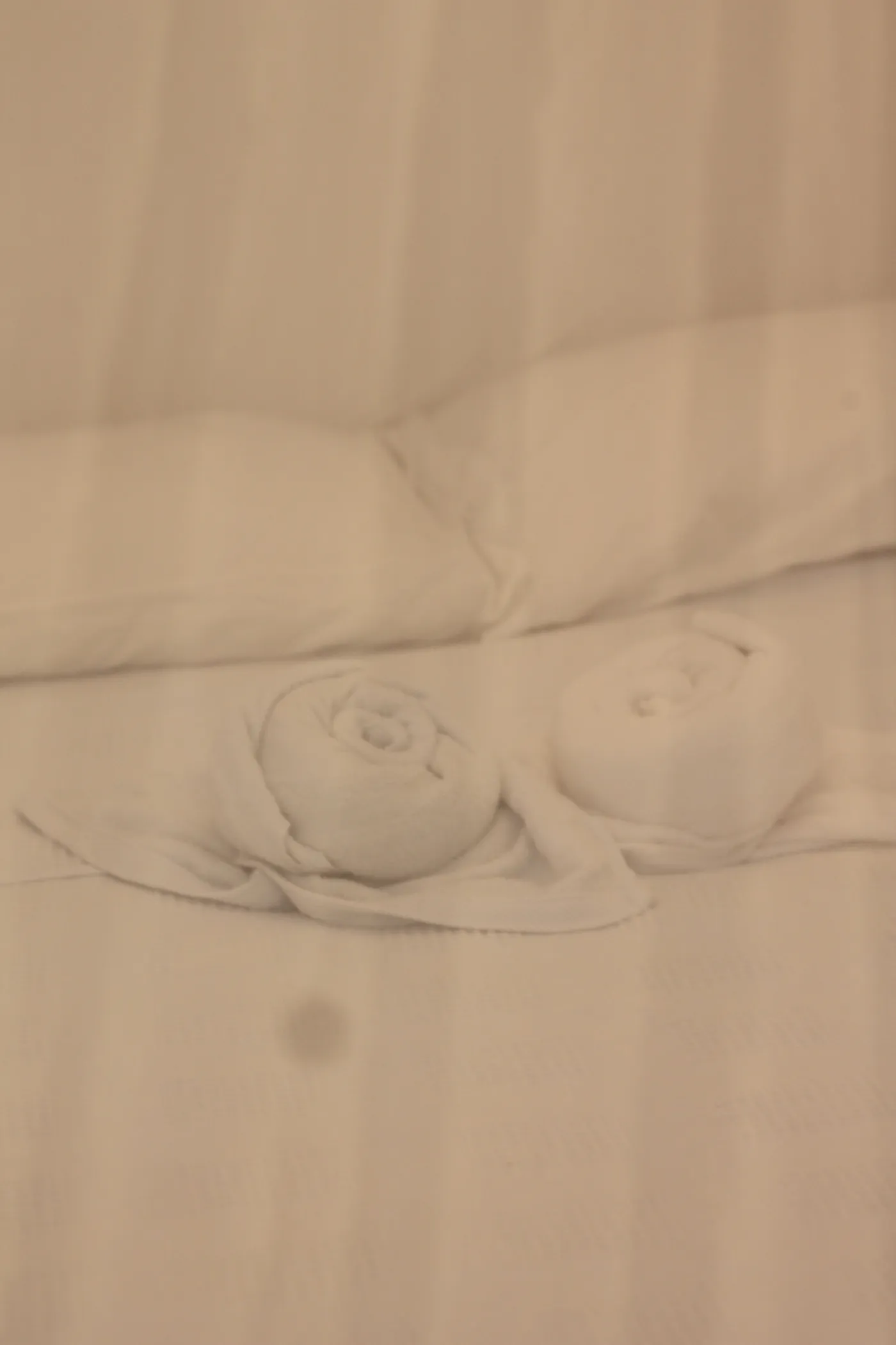 Triple — foto 24