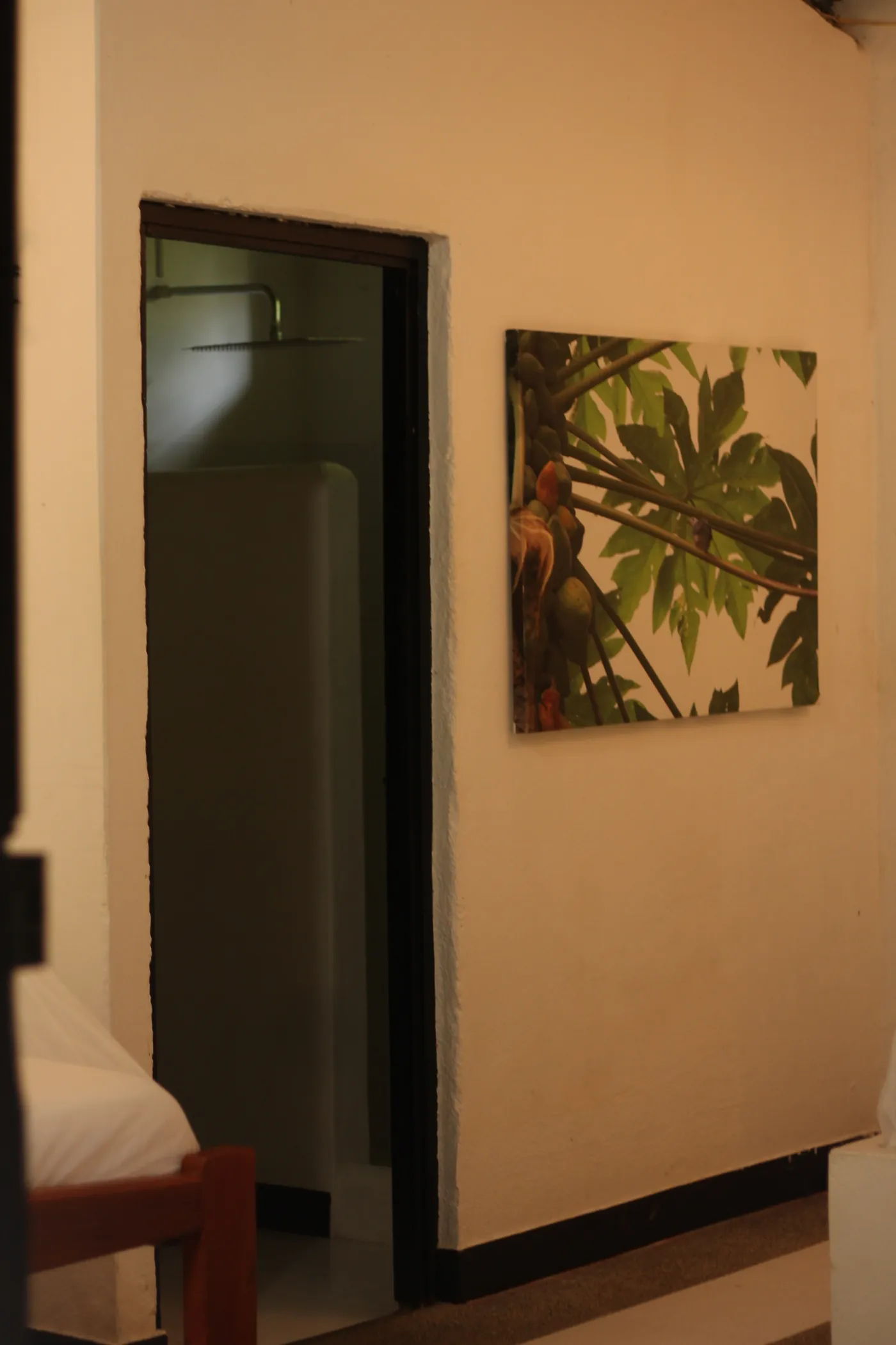 Triple — foto 26